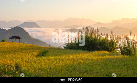 Vietnam-Landschaft Stockfoto