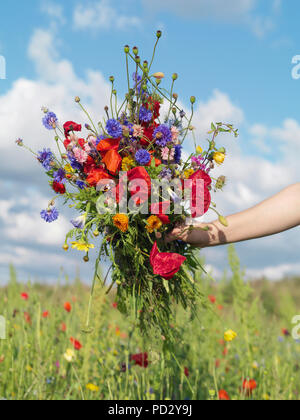 Bündel von Wildflower frisch vom Feld geerntet Stockfoto