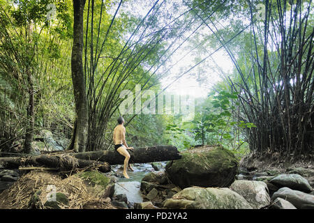 Mann auf Baumstamm über Stream im Regenwald, Guaiuba, Ceara, Brasilien Stockfoto