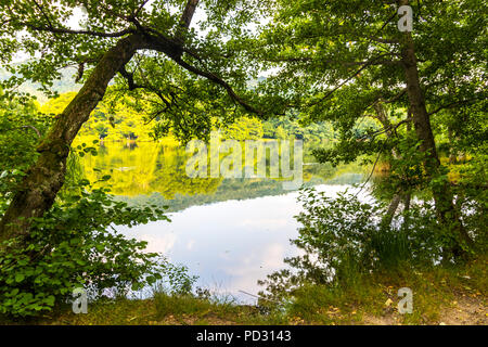 See Origlio, Lugano, Tessin, Italien, Reflexion Stille entspannt Konzept Seeblick Stockfoto