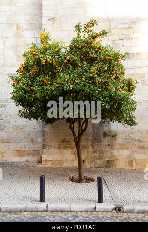 Lissabon Stadt, Lissabon, Portugal Stockfoto