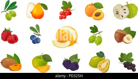 Früchte und Beeren, von farbigen Icons einstellen. Essen Konzept. Vector Illustration Stock Vektor