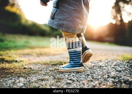 Ein kleines Kind Junge wandern draußen in der Natur bei Sonnenuntergang. Ansicht von hinten. Stockfoto