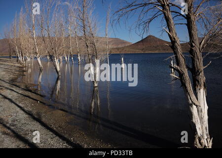 Tote Bäume im blauen Wasser eines Sees mit Schatten auf der Bank und Berg in den Boden zurück und blauer Himmel widerspiegelt Stockfoto
