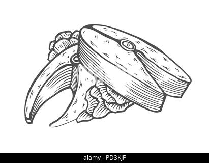 Teil der gebratenen Thunfisch mit grünen. Im Stil der alten Gravur, Vector Illustration auf weißem Hintergrund Stock Vektor