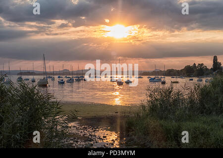 Segelboote am Untersee, Sonnenuntergang, Radolfzell, Bodensee, Baden-Württemberg, Deutschland Stockfoto