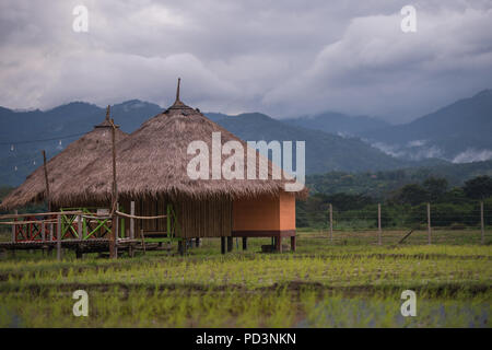 Wunderschöne Landschaft Natur grün Terraced Rice Bereich der Regenzeit und die Hütte auf dem Berg in der Natur, Chiang Dao, Chiang Mai, Thailand. Stockfoto