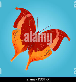 Der Schmetterling. Vektor. Mesh. Stockfoto