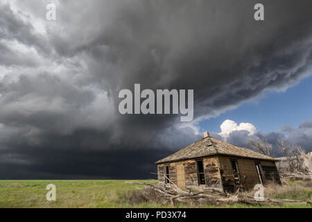 Intensive Sonne und schwere Gewitter, Scheune im Vordergrund, bewältigen, Colorado, USA Stockfoto