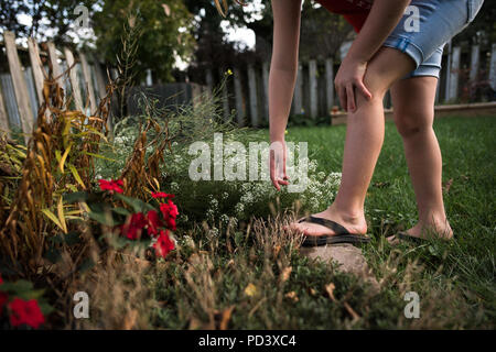 Mädchen, die heraus für Blumen im Garten Stockfoto