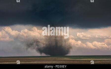 Landspout - Tornado hybride Formen auf den Ebenen, bewältigen, Colorado, United States Stockfoto