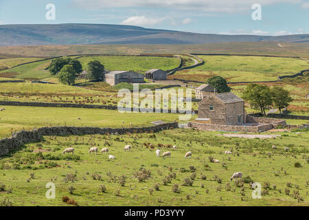 North Pennines AONB Landschaft, die Landwirtschaft Weiler Sleightholme auf die Pennine Way langen Wanderweg in der Nähe von Bowes, County Durham, UK Stockfoto