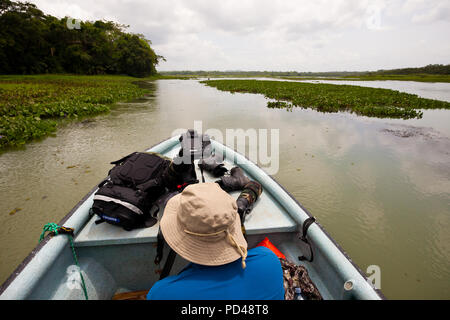 Outdoor Fotograf die Erkundung des Rio Chagres und die umliegenden Regenwald, Republik Panama. Stockfoto