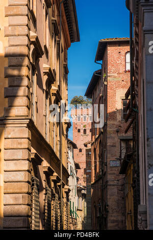 Die berühmten und charakteristischen Mittelalterlichen Guinigi Turm mit Eichen und Touristen an der Spitze, von einer schmalen Gasse in der Altstadt gesehen Stockfoto