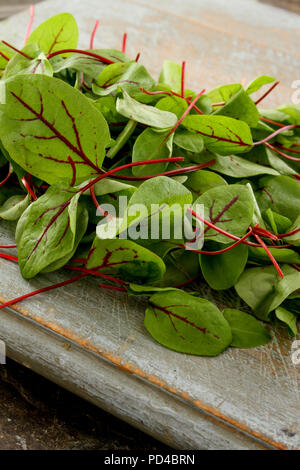 frischen Salatblättern Stockfoto