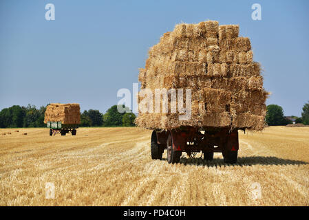 Stroh Ballen auf Anhänger in einem Feld Stockfoto