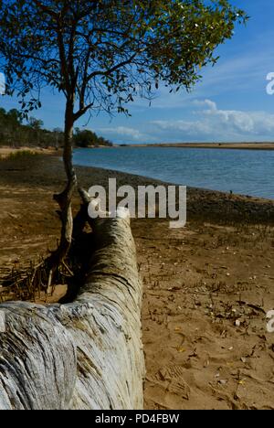 Strand Szenen aus Toomula, Queensland, Australien Stockfoto