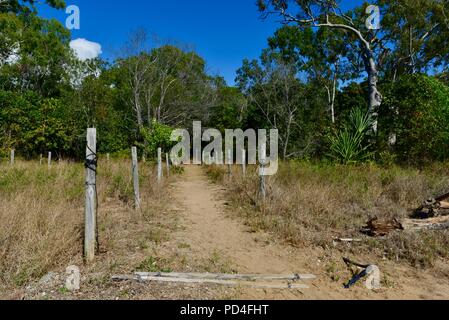 Fußweg zum Strand, Toomulla QLD, Australia Stockfoto