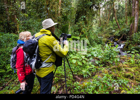 Zwei Natur Touristen fotografieren im Nebelwald von La Amistad Nationalpark, Provinz Chiriqui, Republik Panama. Stockfoto