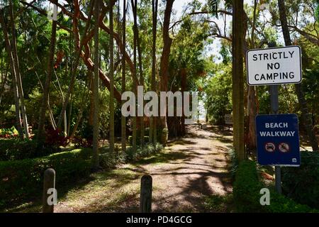 Streng keine Camping Schild in der Nähe der Eingang zu einem Strand, Toomulla QLD, Australia Stockfoto