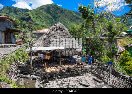 Native Ifugao Hütte in Batad, Central Luzon auf die Philippinen, Südostasien Stockfoto