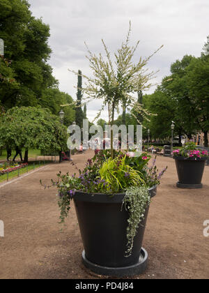 Die Esplanade Park im Zentrum og Helsinki Finnland ist ein beliebter Ort für einen abendlichen Spaziergang Stockfoto