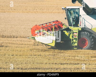 Weizen der Ernte mit Mähdrescher an einem sonnigen Sommertag Stockfoto