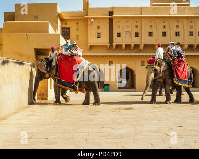 Westliche Touristen, die geschmückten Elefanten bei Fort Amber in Jaipur, Rajasthan, Indien. Stockfoto