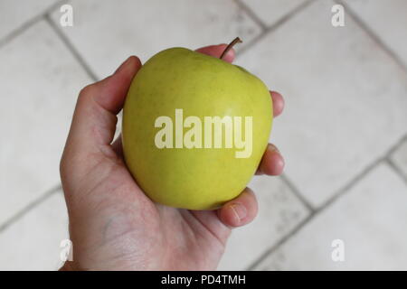Hält einen Apfel Stockfoto
