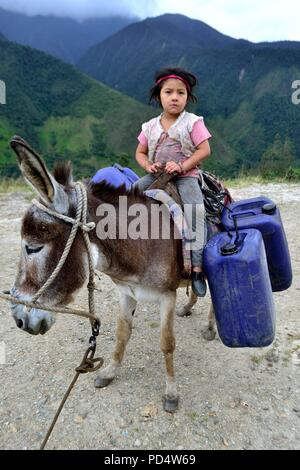 Schleppen Wasser in El Carmen DE LA FRONTERA - Ecuador border-Huancabamba. Abteilung von Piura. PERU Stockfoto