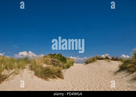 Dünen am Strand in Le Touquet am Pariser Sommerstrand in Frankreich Stockfoto