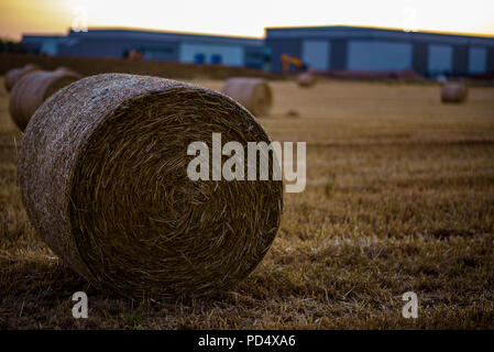 Heu Stroh auf Ackerland mit Industrial Site im Hintergrund entwickelt. Stockfoto