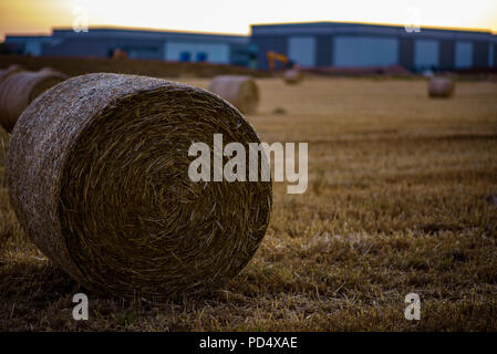 Heu Stroh auf Ackerland mit Industrial Site im Hintergrund entwickelt. Stockfoto