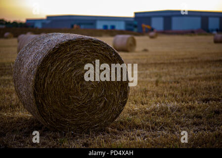 Heu Stroh auf Ackerland mit Industrial Site im Hintergrund entwickelt. Stockfoto