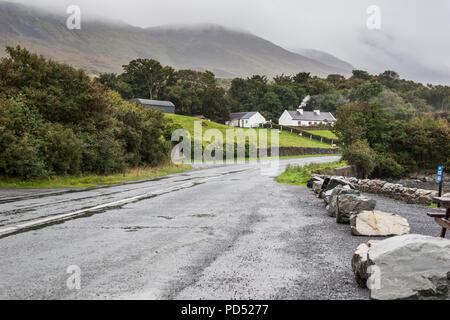 Irish Cottage mit Rauch mit Rock Zaun und Schafe auf der Straße in der Grafschaft Mayo Stockfoto