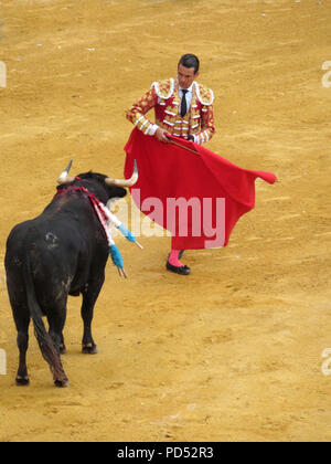 Stier zu kämpfen. Plaza de Toros, Granada, Andalusien, Spanien. Corrida. Matador José María Grazalema mit muleta Kap. spanischen Tradition. 'Letzte Minuten'. Stockfoto