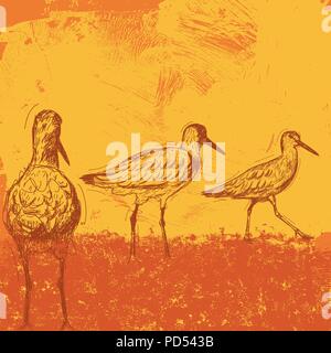 Strand Vögel bei Sonnenuntergang Sketchy Willets über einen abstrakten Hintergrund. Stock Vektor