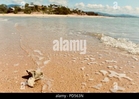 Wie toomula Toomulla vom Strand gesehen, QLD, Australien Stockfoto