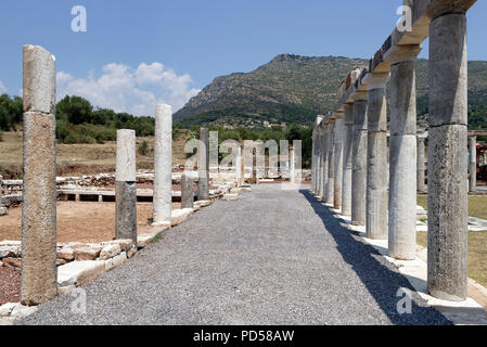 Blick auf die Kolonnade des Palaestra (Wrestling hall) Komplexe, die aus dem 3. Jahrhundert v. Chr. bis zum 4. Jahrhundert n. Antiken Messene. Peloponne Stockfoto