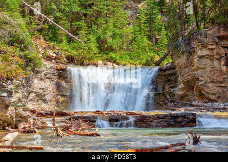 Wasserfall in der Johnston Canyon Creek im Banff National Park in Alberta, Kanada fließen. Die Gewässer in den Bow River. Stockfoto