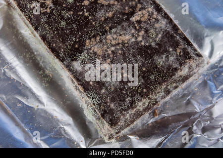 Schimmel Schokolade in der Originalverpackung. Veraltete Produkte für Desserts verwendet. Weißer Hintergrund. Stockfoto