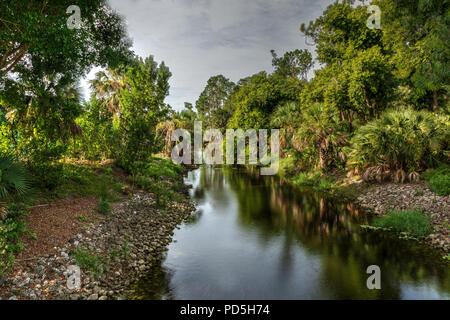 Wicklung riverway des Gordon River Nebenfluss in Naples, Florida Stockfoto