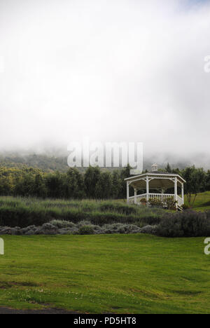 Einen weißen Pavillon in einer nebligen Nachmittag im Ali'i Kula Lavender Farm, Maui, Hawaii Stockfoto