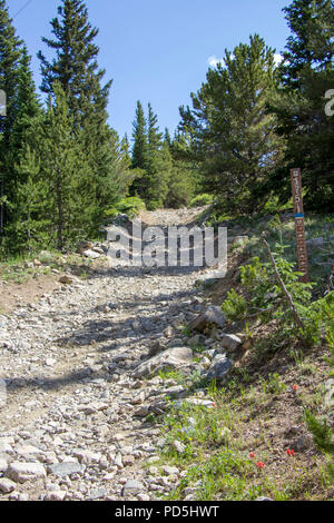 Erkunden Yankee Hill im Jeep Stockfoto