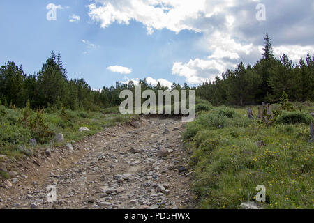 Erkunden Yankee Hill im Jeep Stockfoto