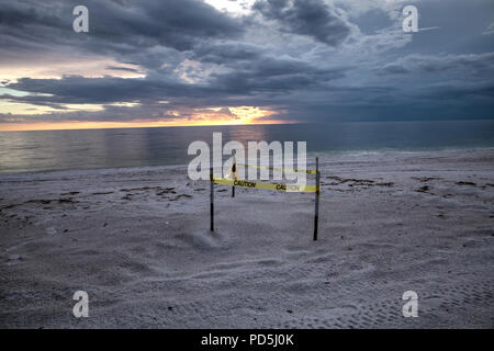 Sonnenuntergang hinter einem umzäunten Turtle Nest auf Clam Pass Strand in Naples, Florida Stockfoto