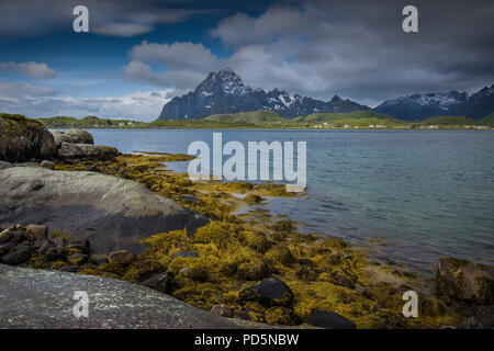 Am Ufer eines Fjord, Kabelvag, Lofoten, Norwegen. Stockfoto