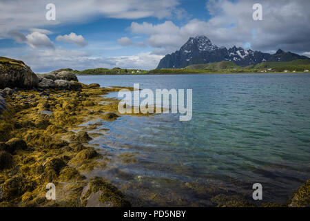 Am Ufer eines Fjord, Kabelvag, Lofoten, Norwegen. Stockfoto