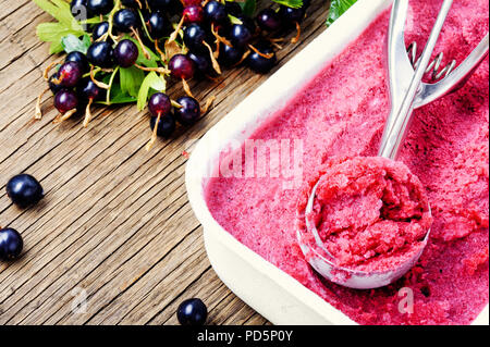 Sommer Eis von schwarze Johannisbeere Beeren. Berry Sorbet Stockfoto