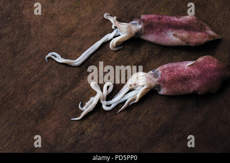 Zwei baby squid auf einem Holztisch Stockfoto